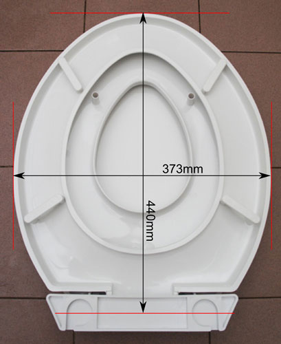 Combo Potty training Seat Dimensions