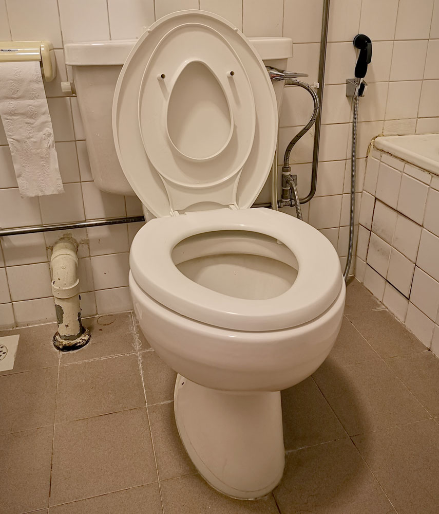 Adult Kid Combo Double Toilet Seat Child Potty Training Toilet Seat 